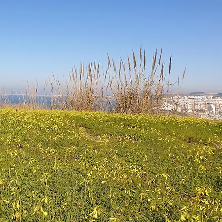 Casa Harmonica Com Vista Mar * Areia Branca
