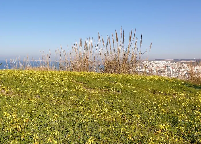 Casa Harmonica Com Vista Mar * Areia Branca